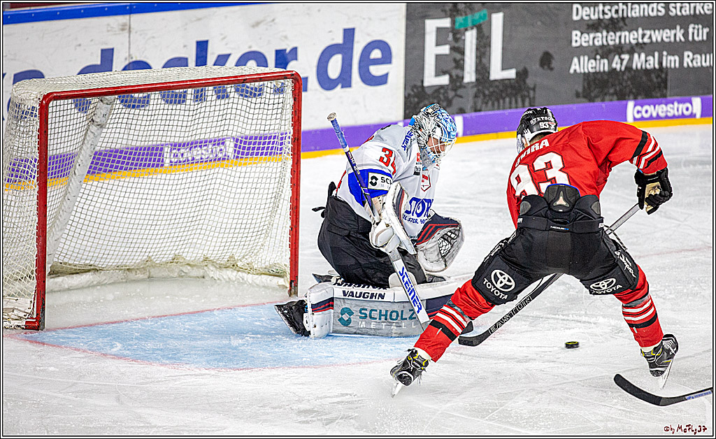 DEL;  Koelner Haie - Schwenninger Wild Wings; Koeln, 20.12.2019